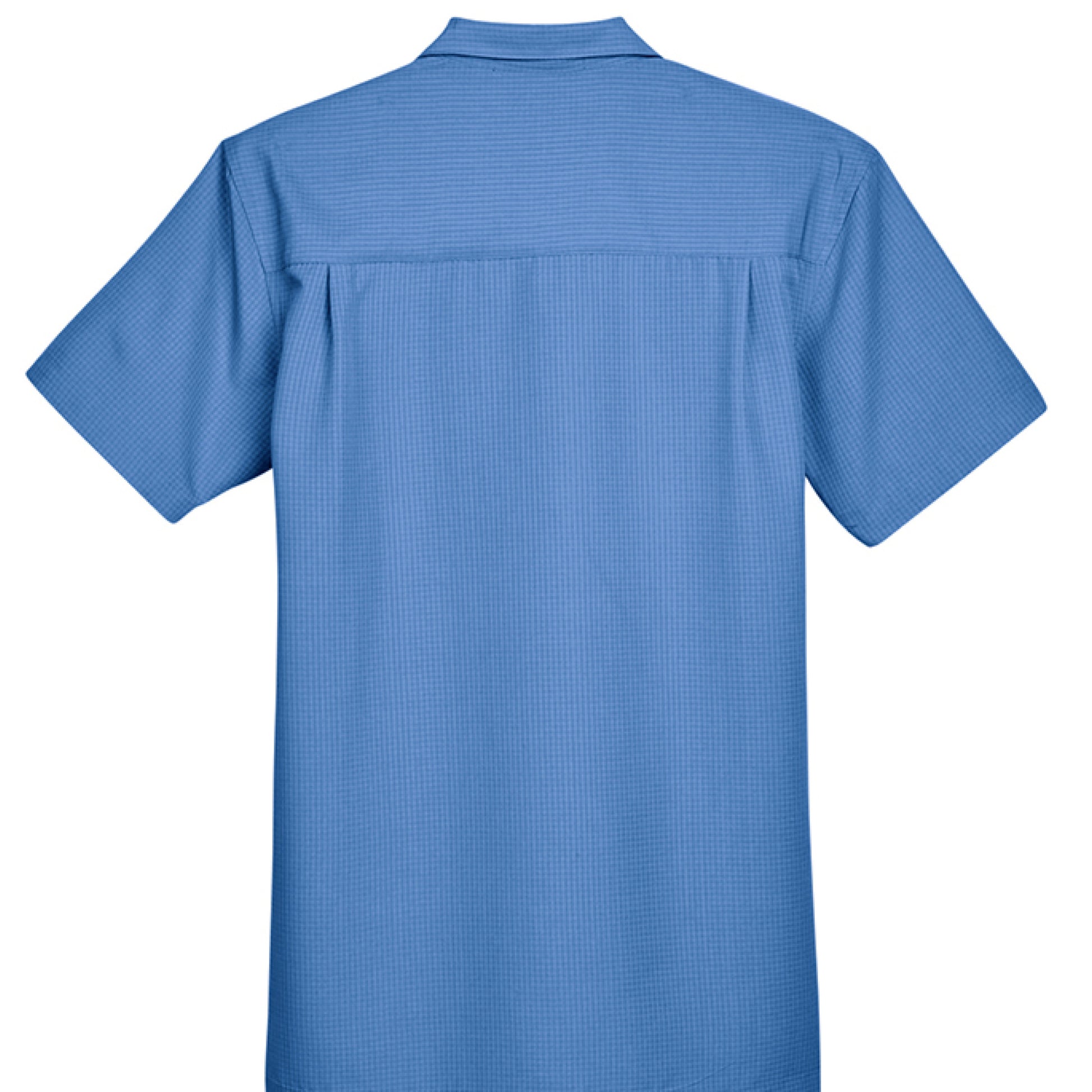 POOL BLUE - BACK