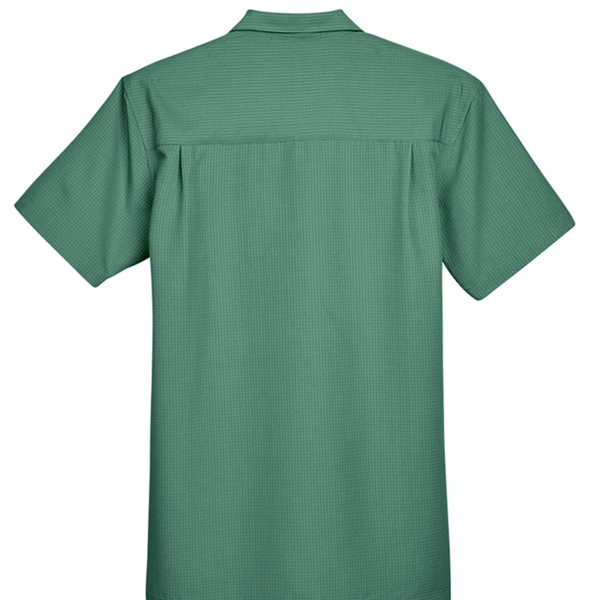 PALM GREEN - BACK