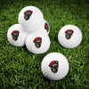 Can't Whup Nobody Golf Balls, 6pcs