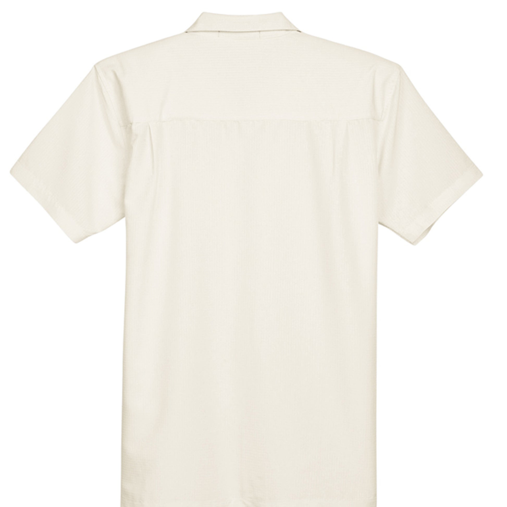 CREME - BACK