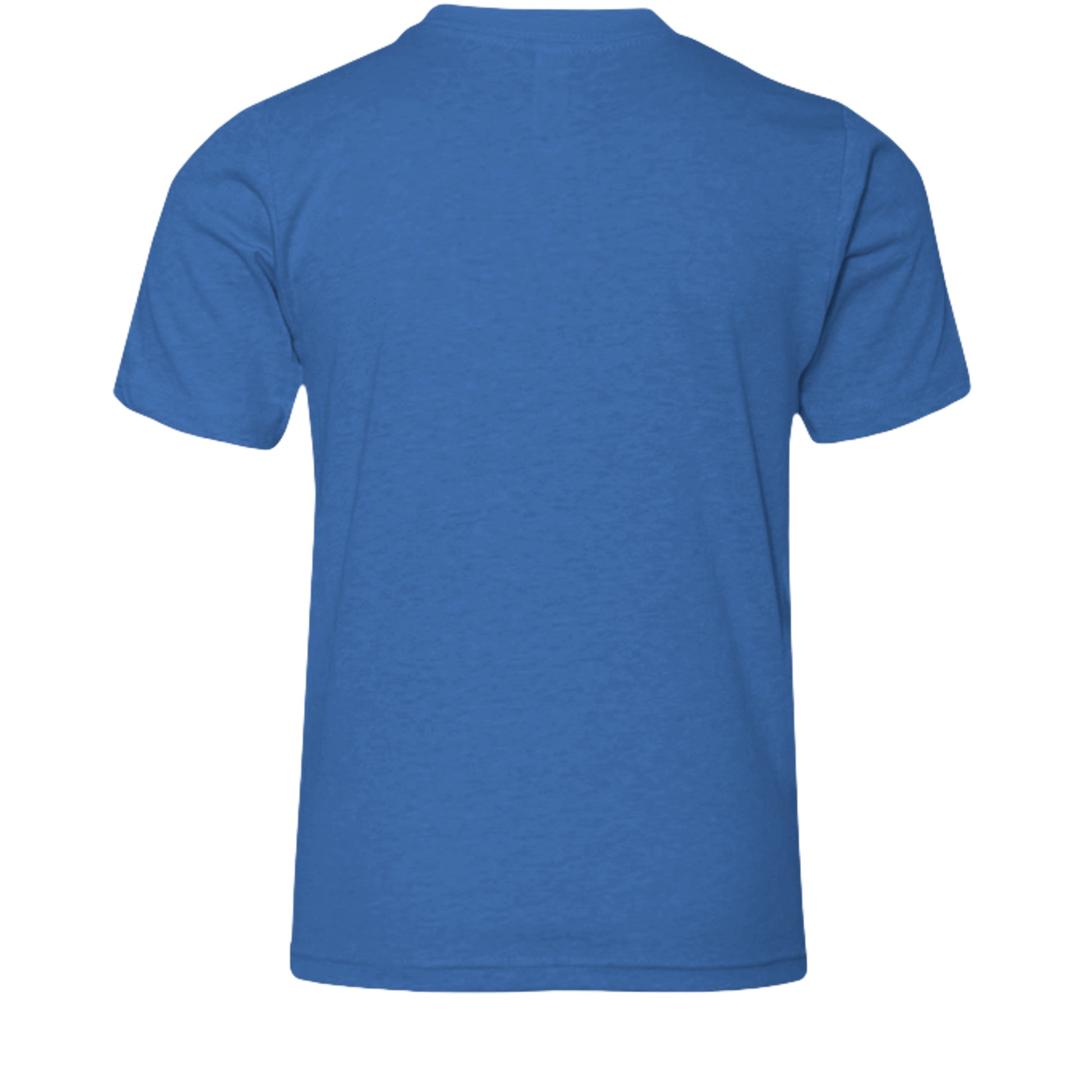 Heather True Royal - 3001YCVC - BACK